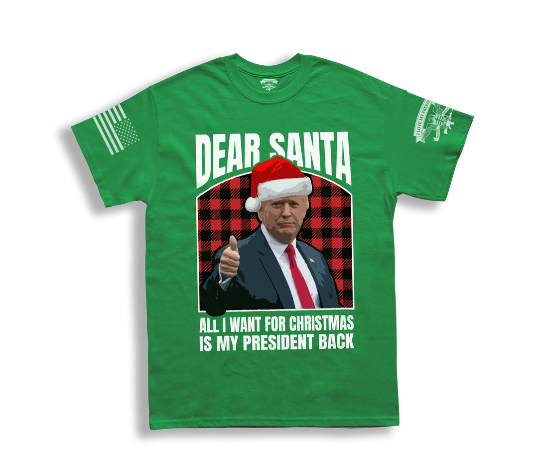 Dear Santa T-Shirt - 9113 (Christmas)