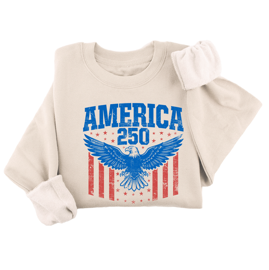 America Eagle Crewneck - 4557