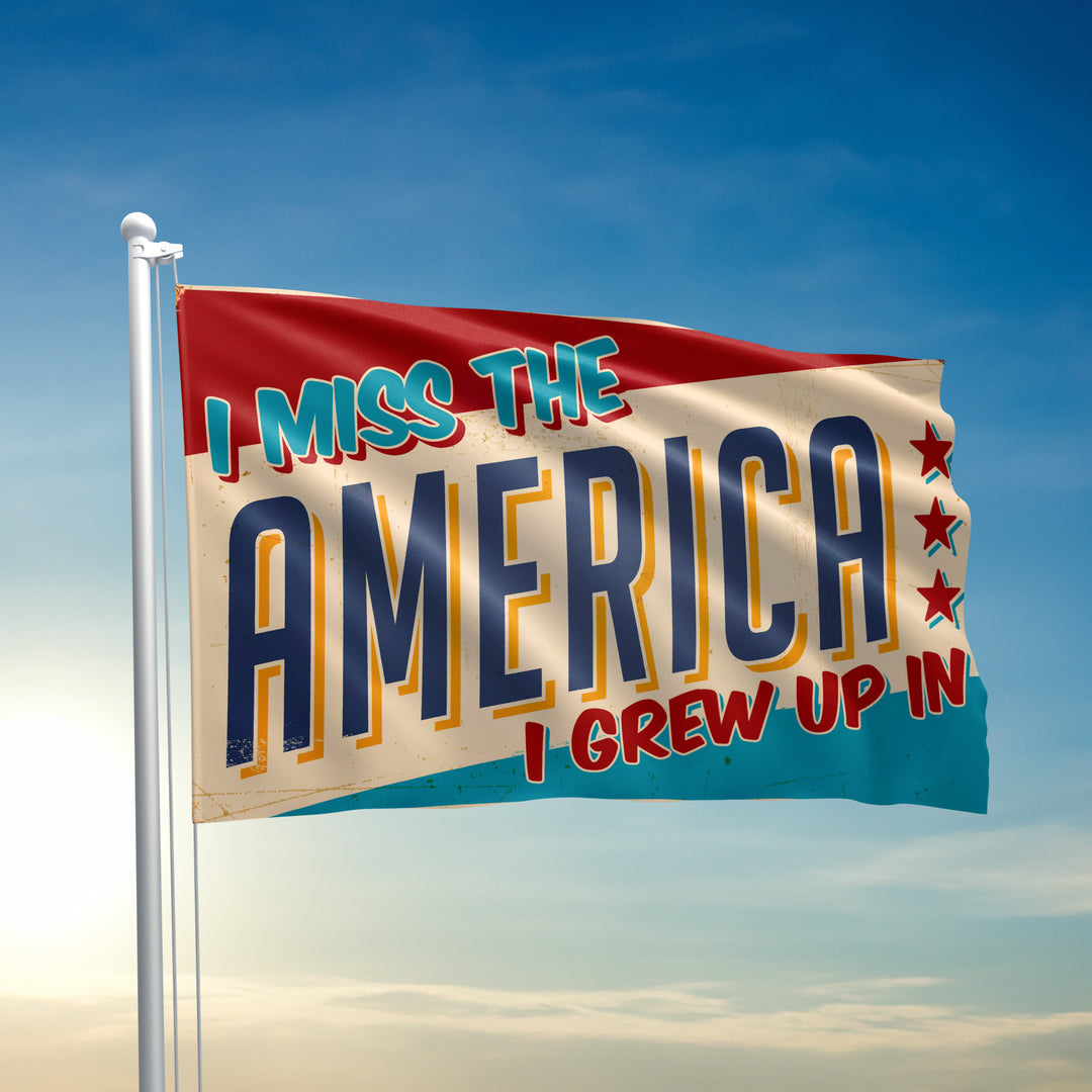 I Miss the America I Grew Up In Flag 2
