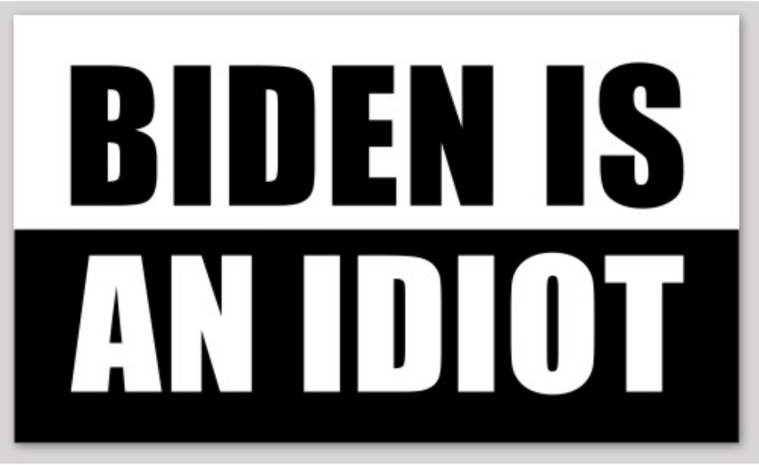 Biden Is An Idiot Sticker